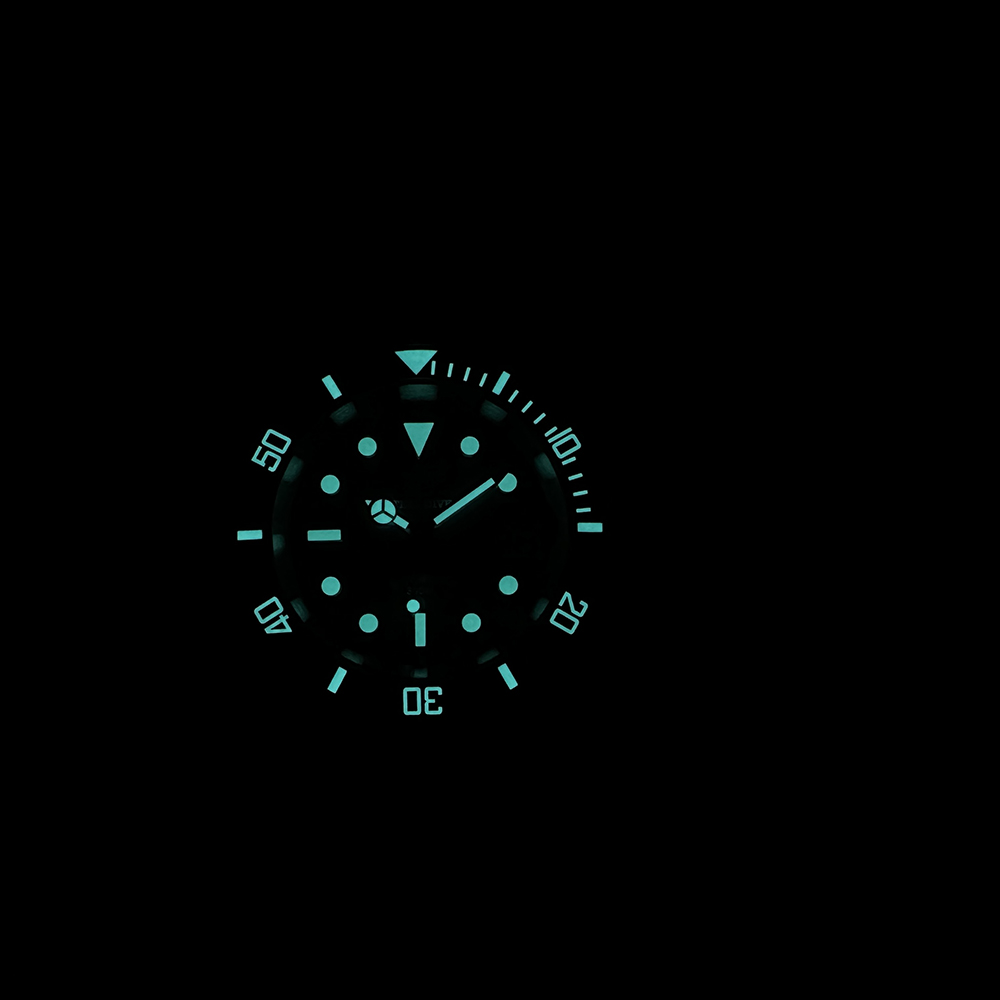 Steeldive nuevo reloj SD1953C  - Seiko Watch Prospex reseña y precio